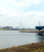 江戸川区首都高速中央環状線